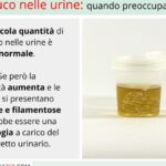 come eliminare il muco nelle urine