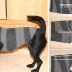 come fare un cappottino per cani con un vecchio maglione
