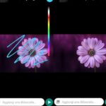 come vedere le scritte coperte negli screen android